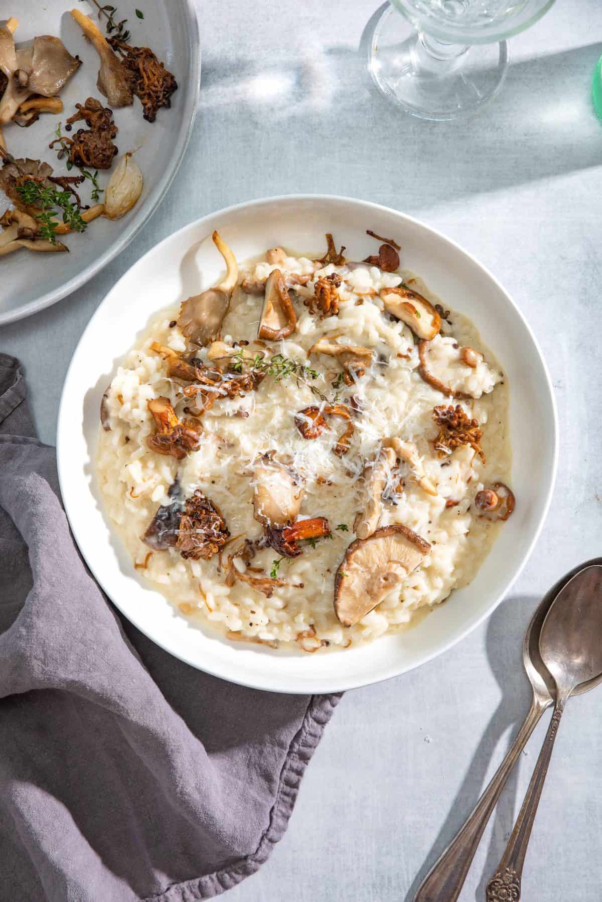 Creamy Roasted Mushroom Risotto with Truffle Oil In a bowl with a blue background