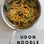 Udon Noodle Stir Fry