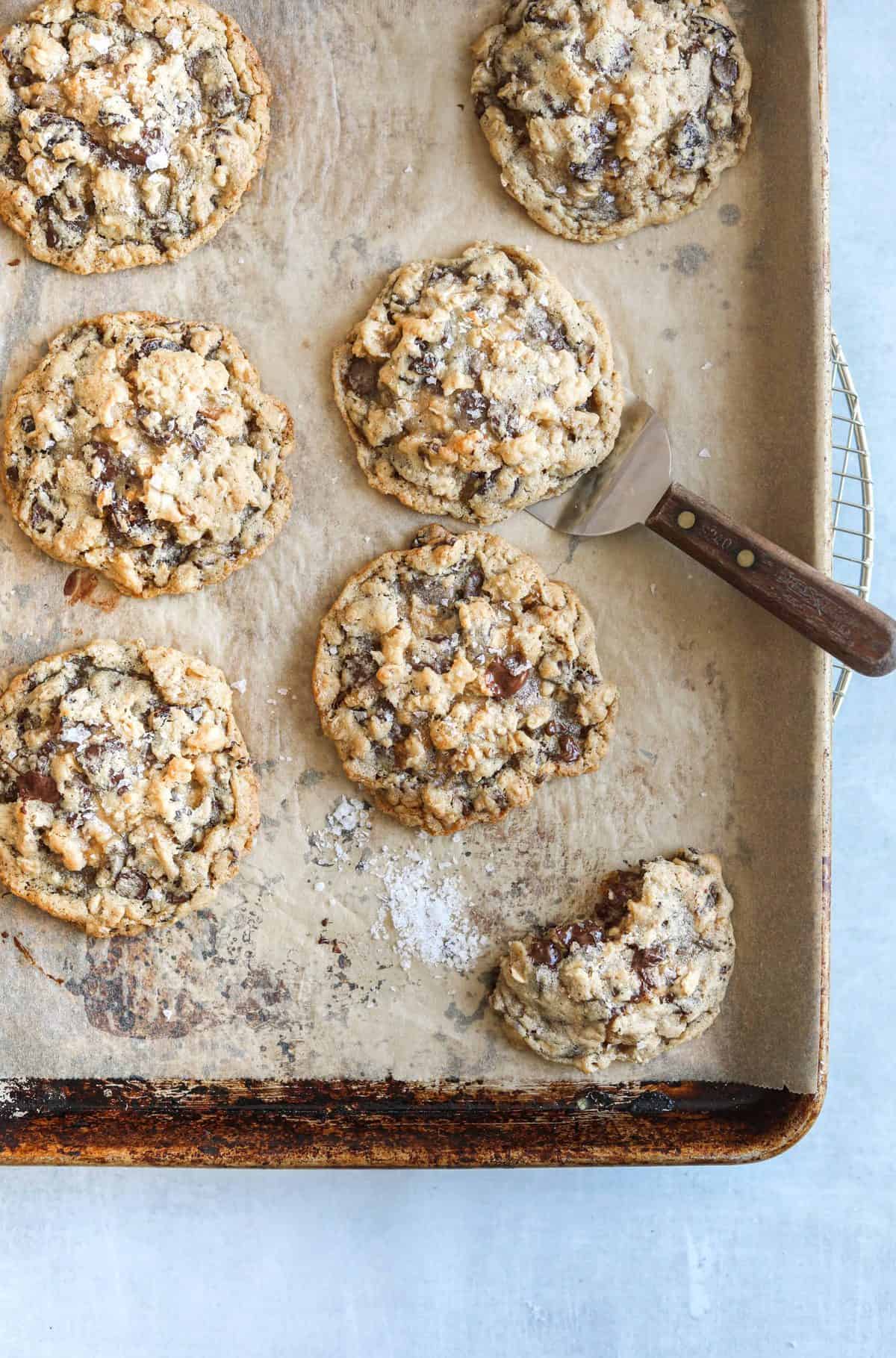 Dark Chocolate Cherry Walnut Cookies