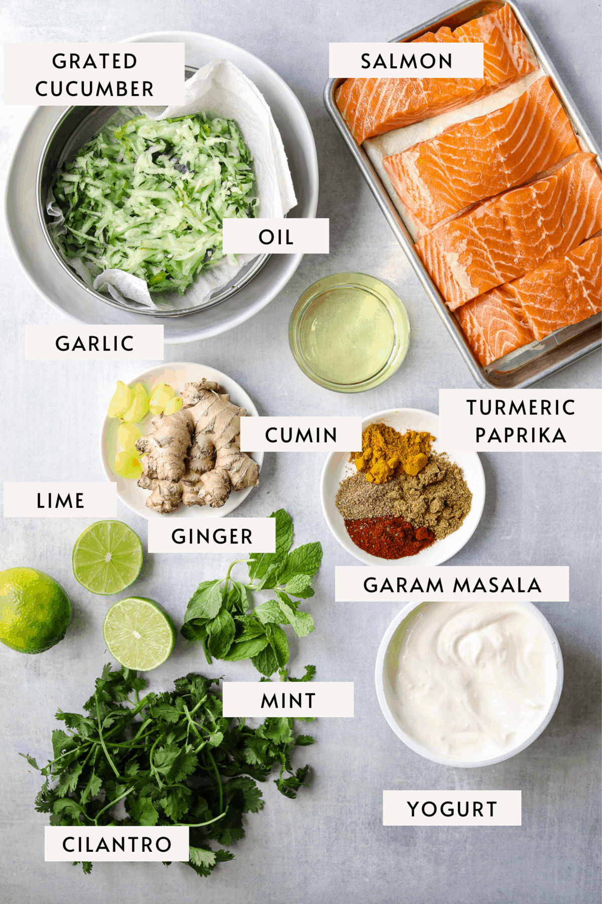 individual recipe ingredient: four salmon filets, grated cucumber, spices, garlic, ginger, yogurt, lime and mint