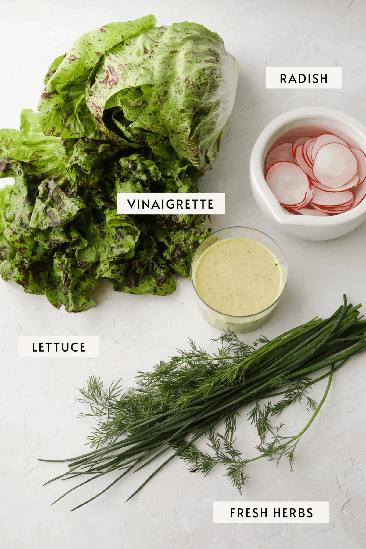 leafy green letuuce, chives, dill, sliced radish in water, a small bowl of salad dressing on a gray background