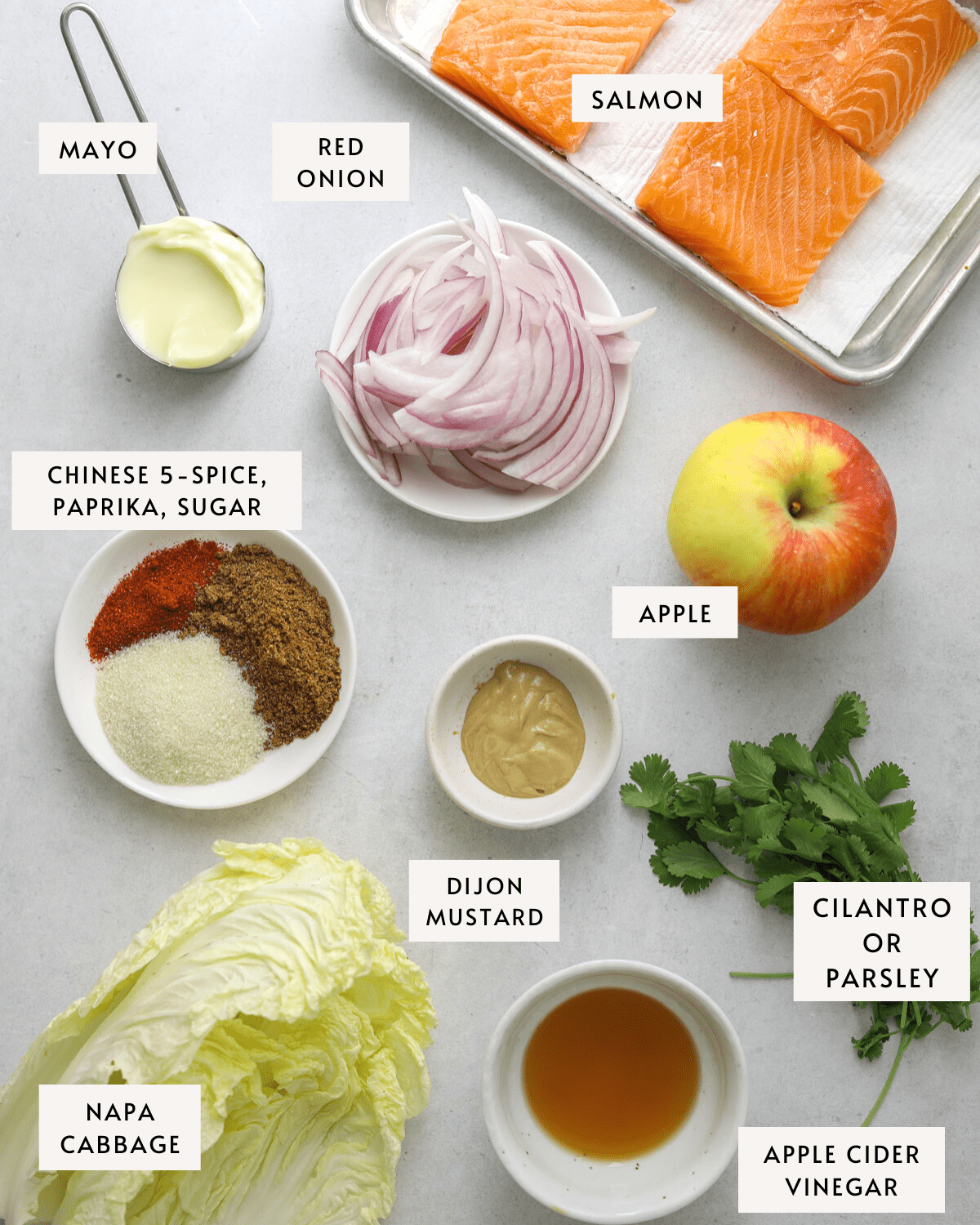 recipe ingredients on a blue background: raw salmon filets, mayo, spices, cabbage, vinegar, apple, etc.