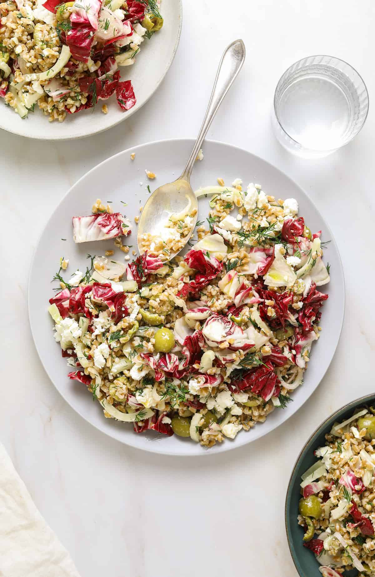 Farro Salad with Fennel, Feta and Crushed Olives