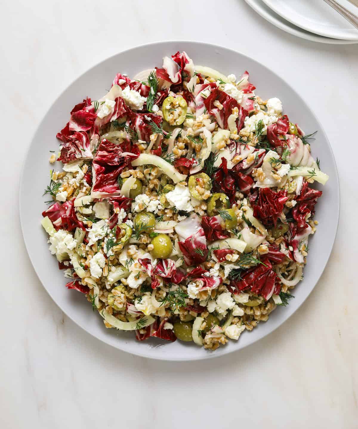 a plate with farro, fennel and radicchio salad on a marble background