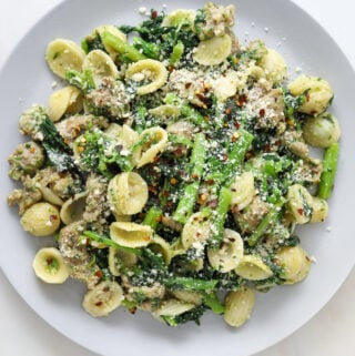 a light blue plate piled high with orecchiette pasta, crumbled sausage, broccoli rabe and topped with grated parmesan cheese