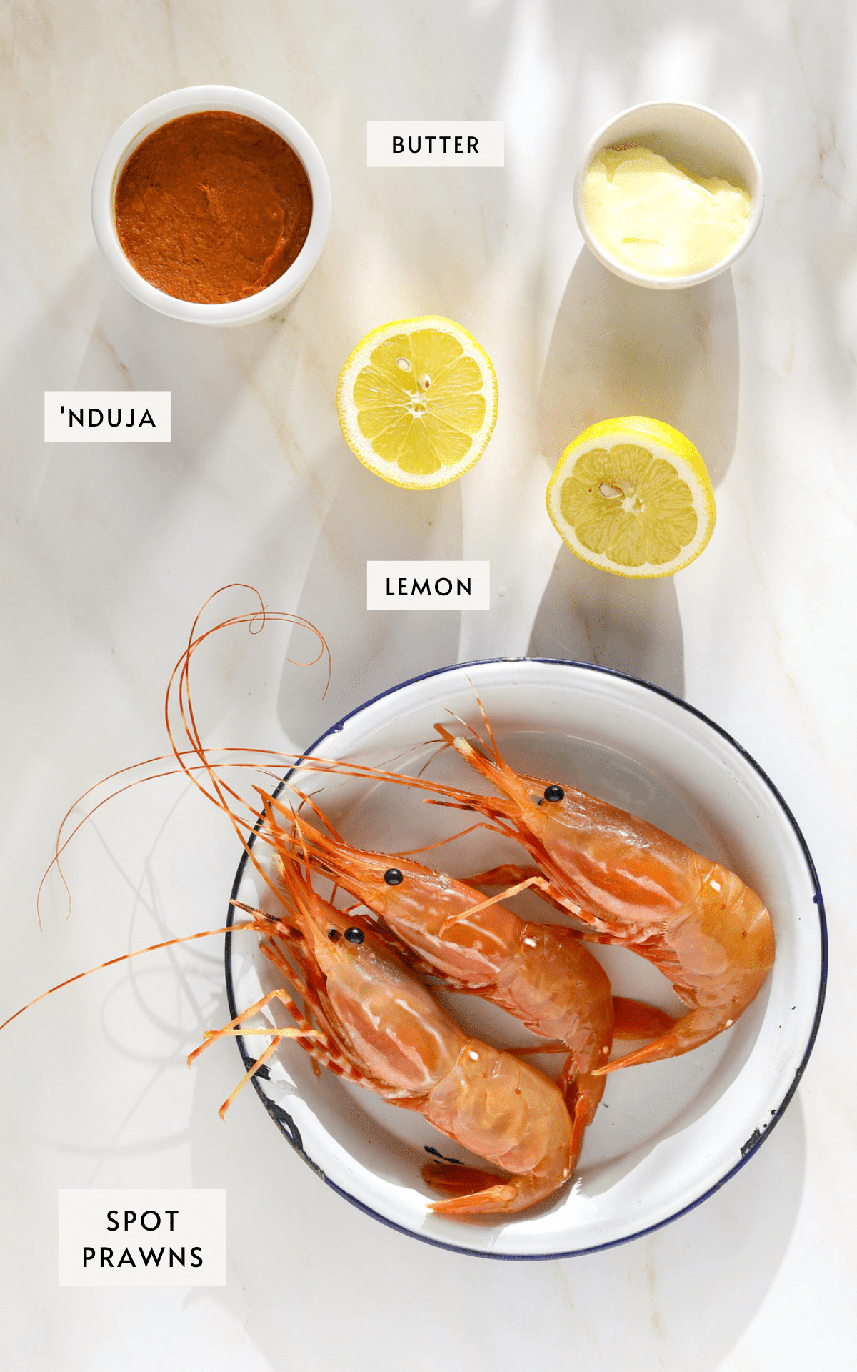 A small white dish filled with 'Nduja, a lemon sliced in half, a small ramekin of butter and a plate with three live spot prawns.