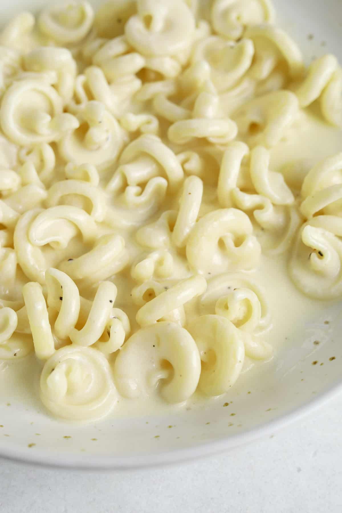 A close up image of pasta coated in creamy Alfredo sauce in a white bowl.