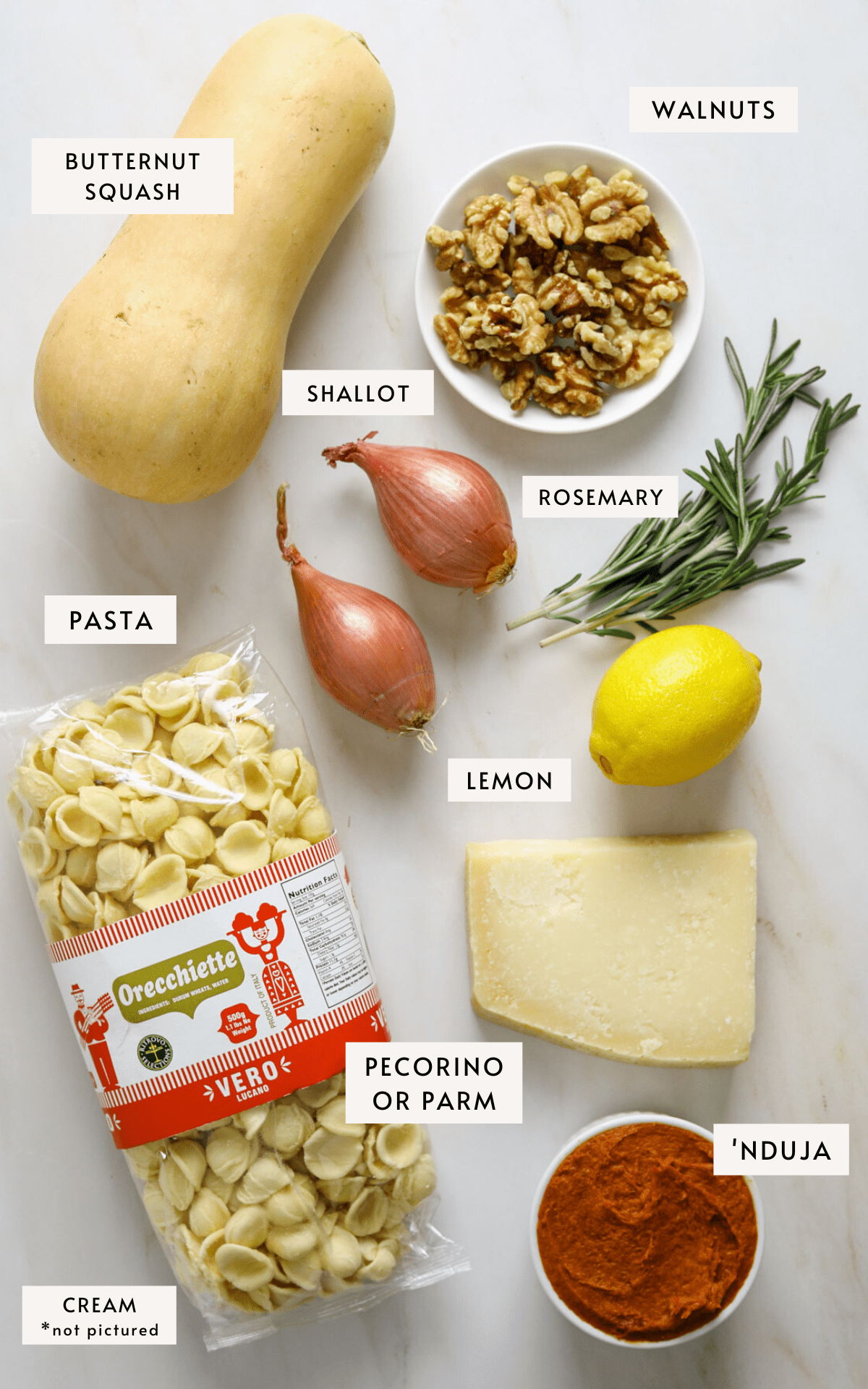 A whole butternut squash, a lemon, two sprigs of rosemary, a small white dish with walnuts, a small white bowl of 'Nduja, a package of dried pasta, two whole shallots and a hunk of pecorino cheese.