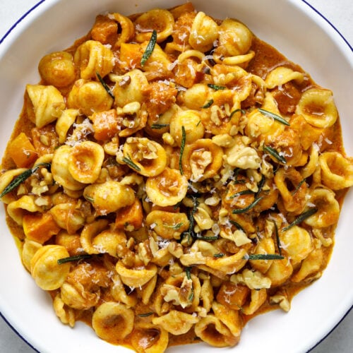 A white bowl with a blue rim filled with orecchiette pasta, cubed squash, rosemary and walnuts.