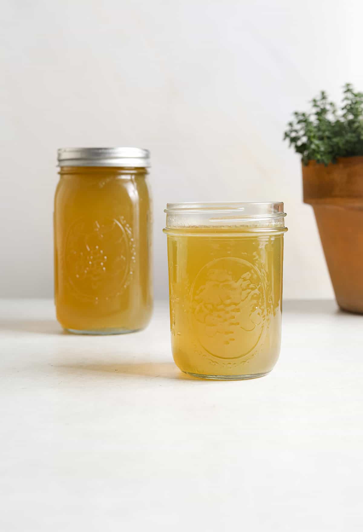 One large jar and one small jar of chicken stock on a white background.