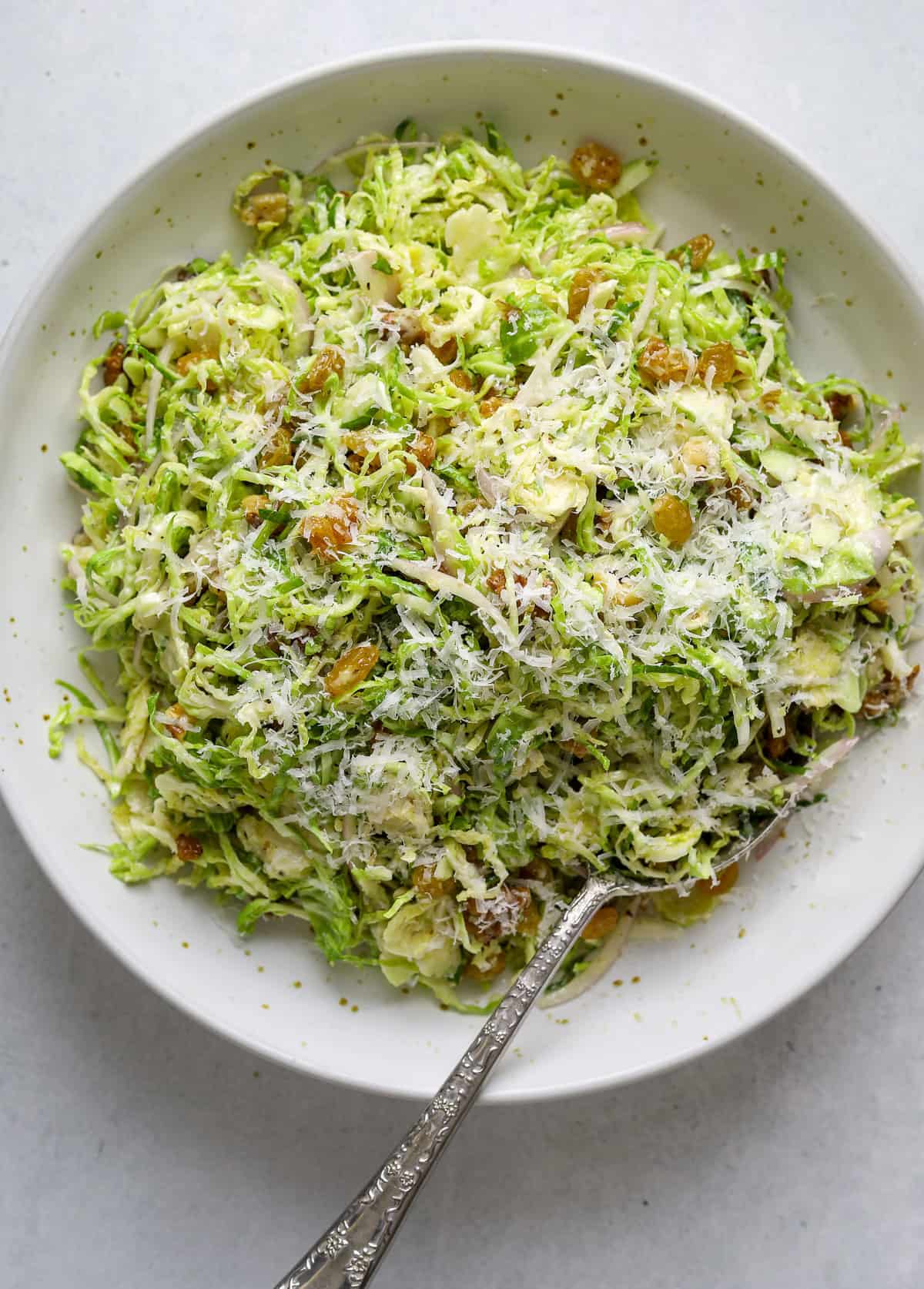 Shaved Brussels Sprout Salad with Walnuts, Pecorino and Honey-Dijon Dressing