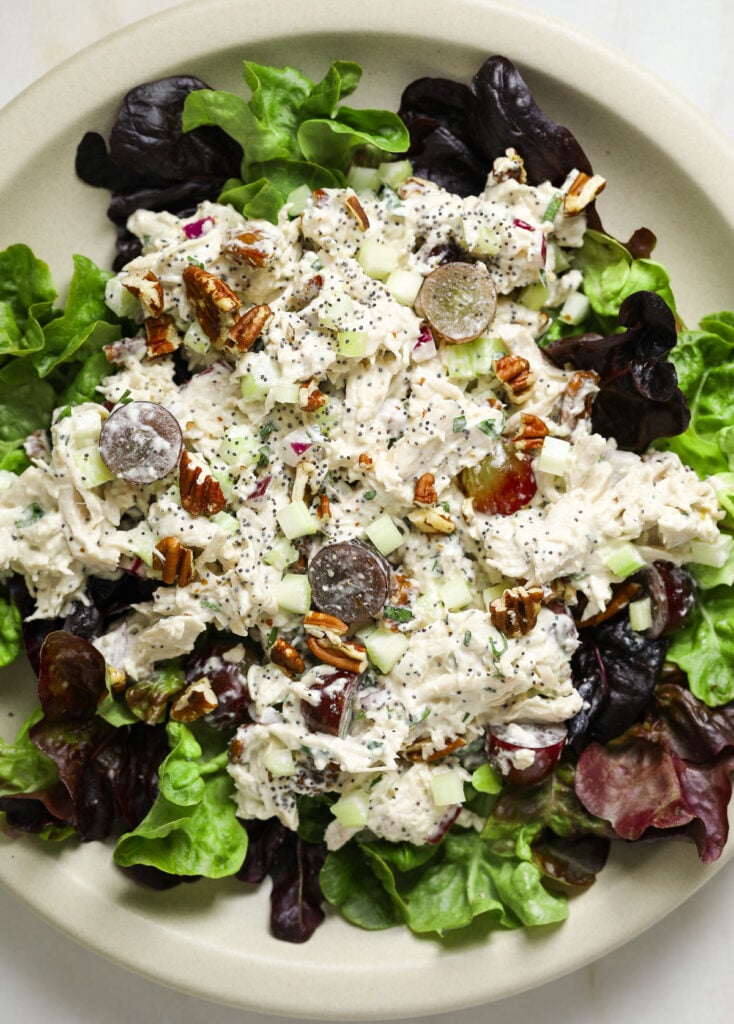 A large, beige plate filled with (creamy) chicken salad, halved purple grapes, diced celery and pecans.