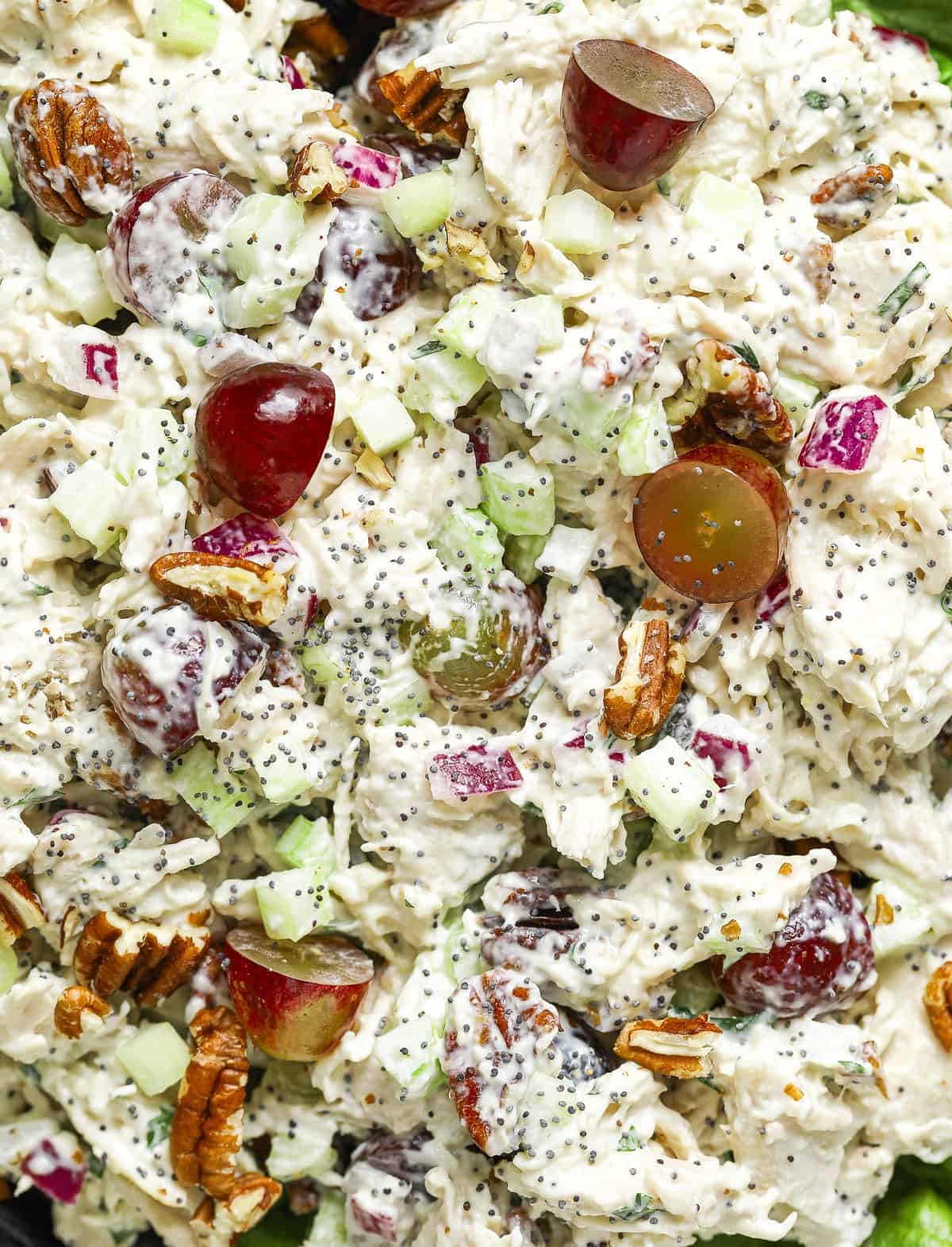 A close up, macro image of chicken salad.