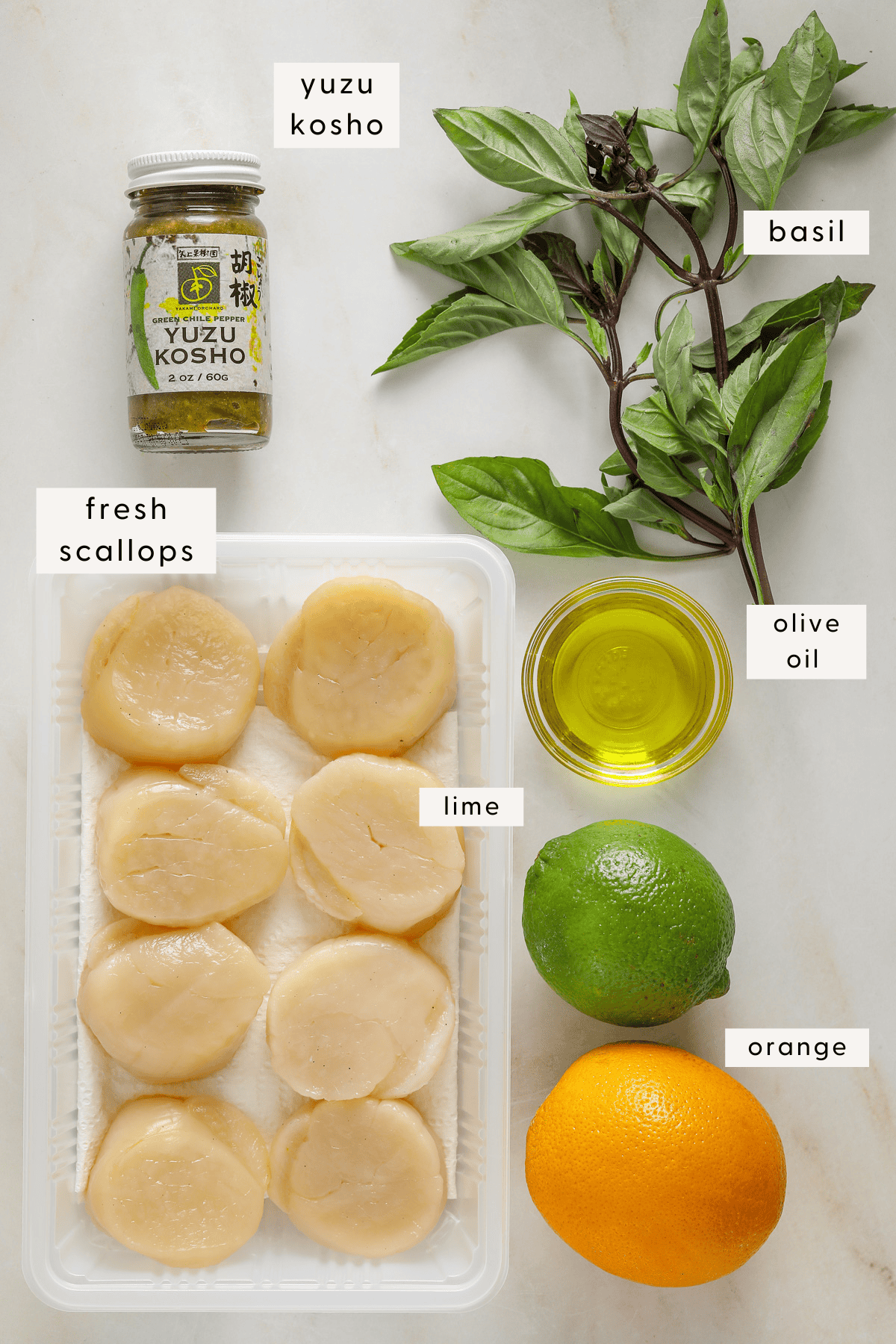 Fresh scallops in a plastic container, basil leaves, a bottle of yuzu kosho, olive oil in a glass dish and citrus on a marble tabletop.