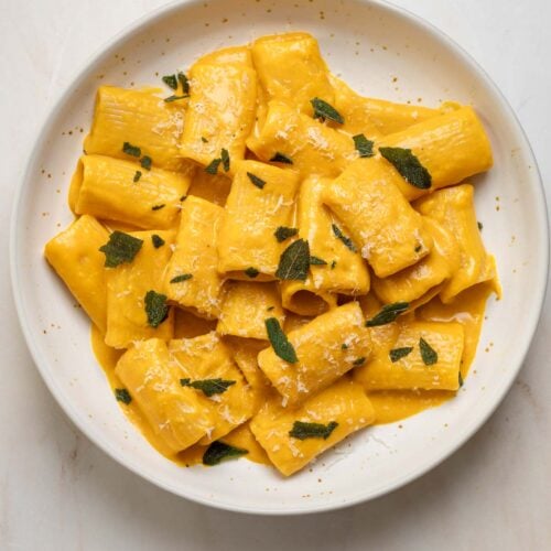 A bowl of rigatoni pasta covered in and orange (color) sauce, grated cheese and fried herbs.