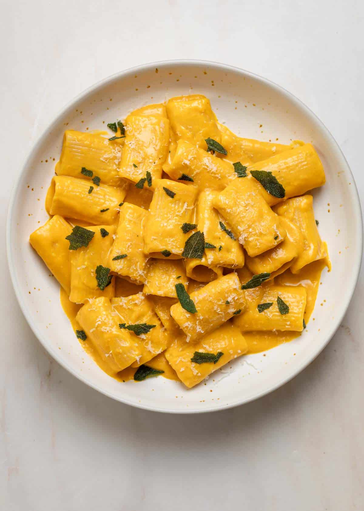 A bowl of rigatoni pasta covered in and orange (color) sauce, grated cheese and fried herbs.