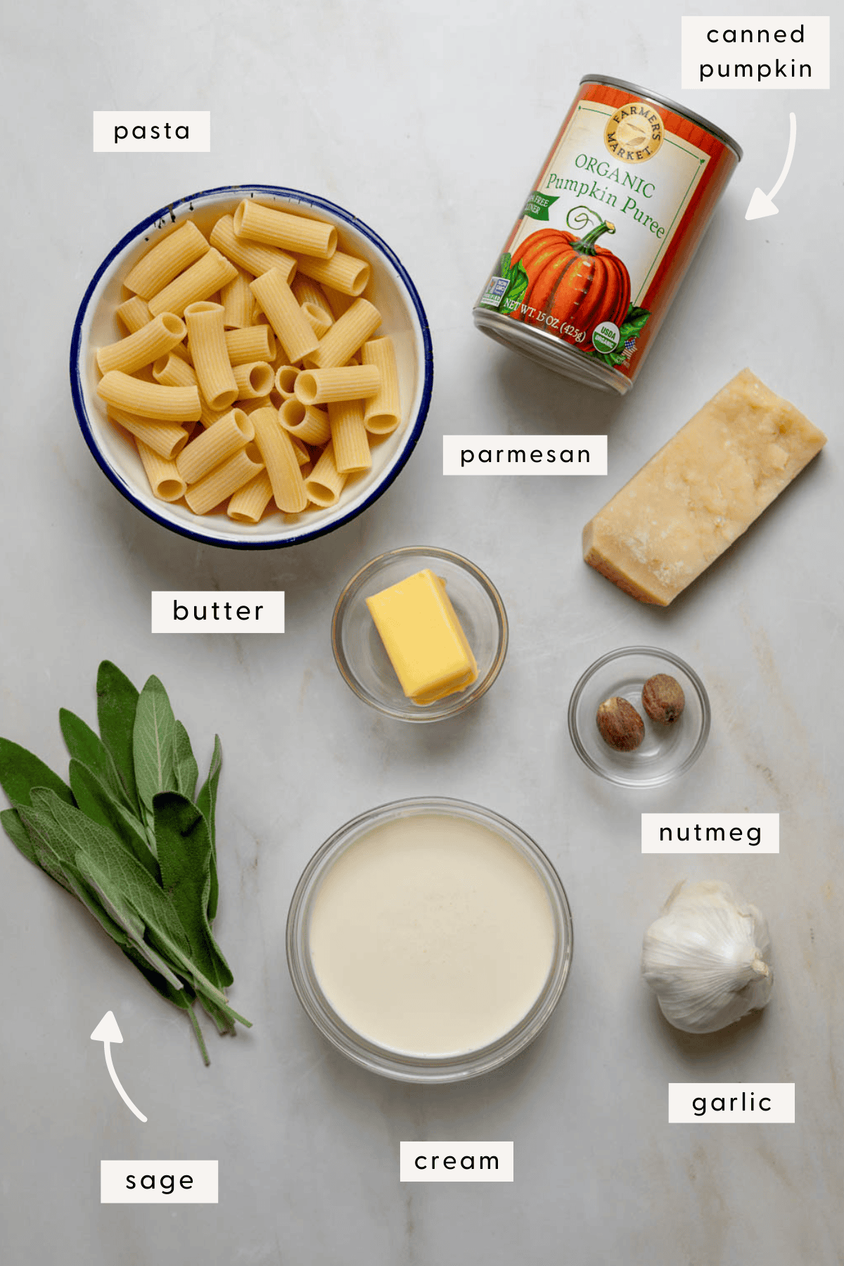 Recipe ingredients individually portioned: a bowl of dried pasta, a can of pumpkin puree, a hunk of parmesan cheese, heavy cream, garlic, butter etc.